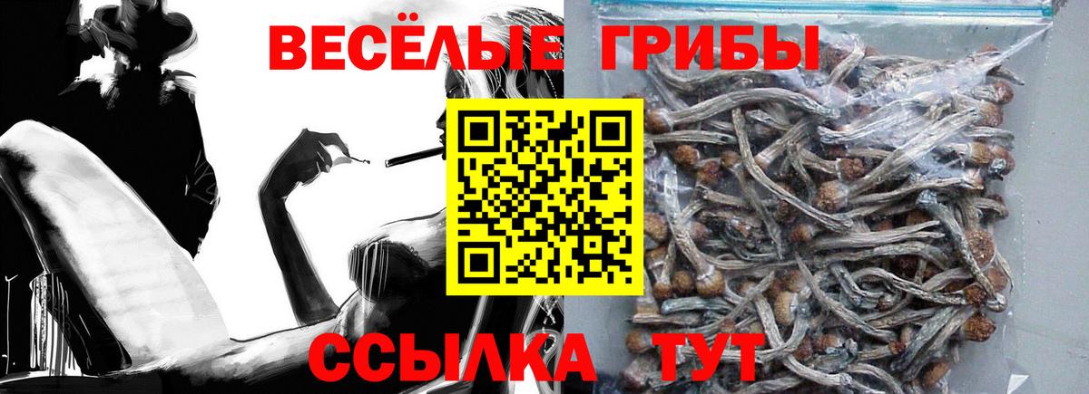 Псилоцибиновые грибы прущие грибы Десногорск