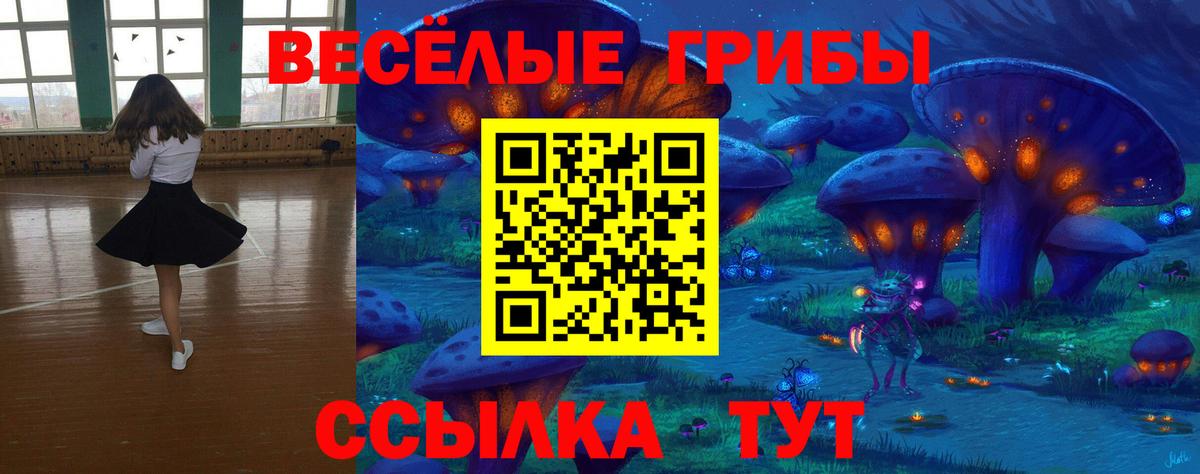 Десногорск  Галлюциногенные грибы Psilocybine cubensis  Вход с VPN  Псилоцибиновые грибы мухоморы 